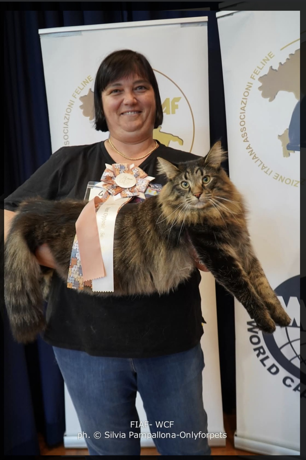 CH. FOREST DREAMS DRAKE